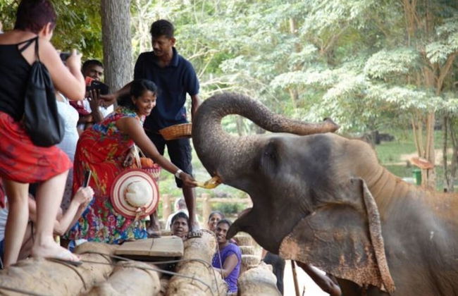 Explore Central Srilanka - Foto 14