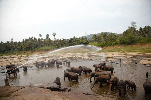 Foto 48 - Explore Central Srilanka
