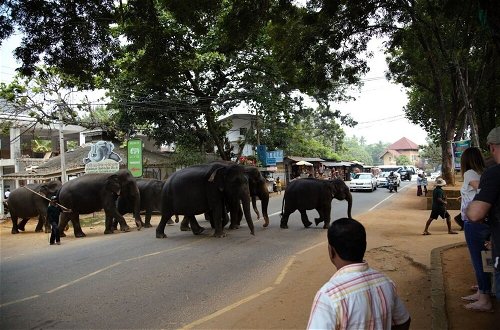 Foto 37 - Explore Central Srilanka