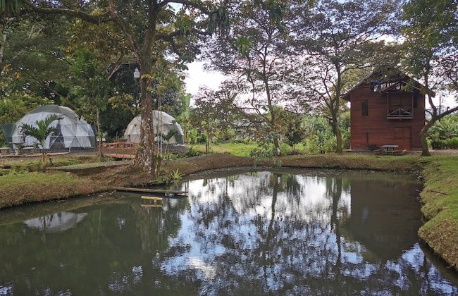 Cabaña del Lago Fortuna - Foto 9