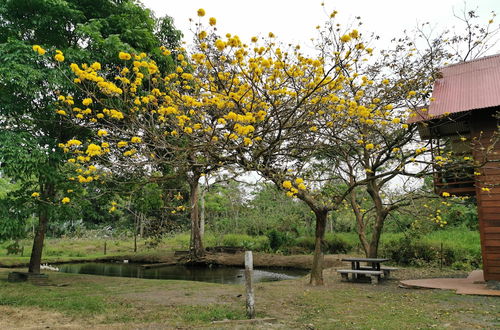 Photo 12 - Cabaña del Lago Fortuna