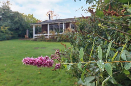 Photo 19 - Lovely Holiday Home in Mesinge Denmark With Barbecue