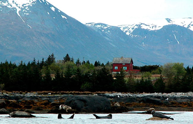 11 Person Holiday Home in Fjortoft-by Traum - Foto 40