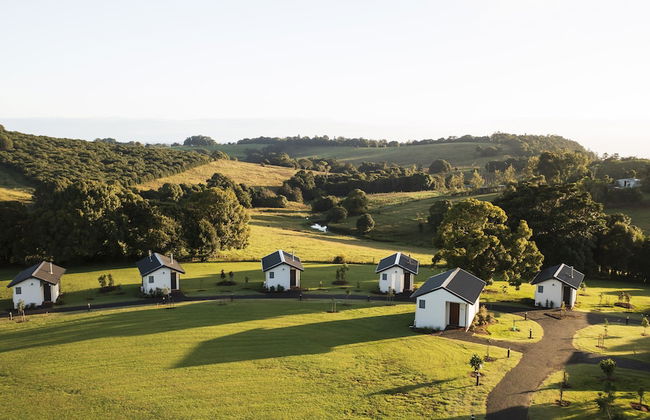 Beechmont Estate - Photo 13