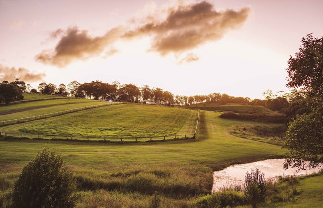 Beechmont Estate - Photo 25