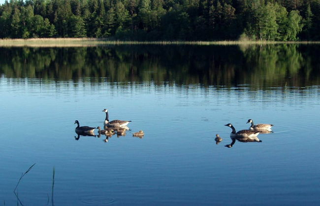 Holiday Home in Väddö - Foto 19