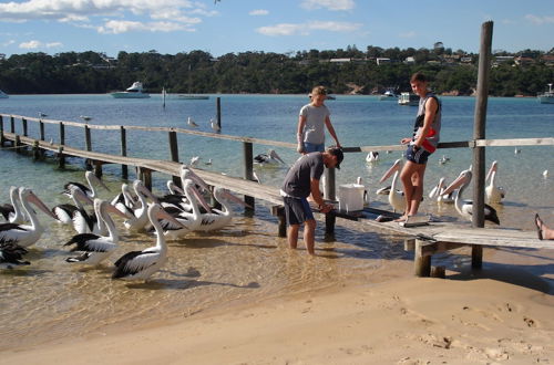 Photo 9 - Bayview Apartments Merimbula