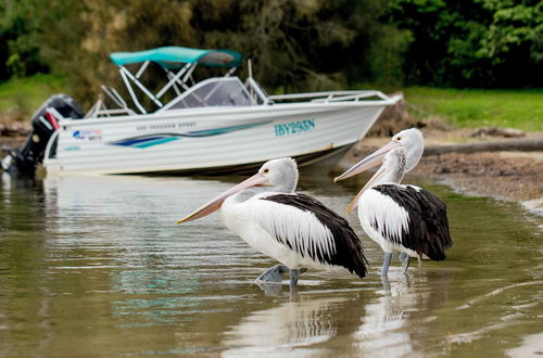 Photo 38 - Ingenia Holidays Ocean Lake