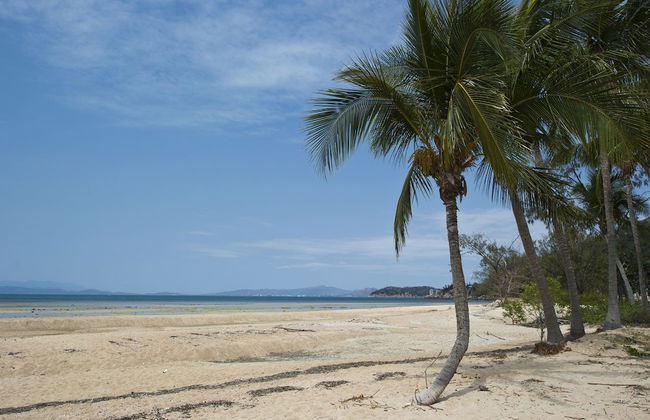 Beachcomber Unit 2 - Foto 12