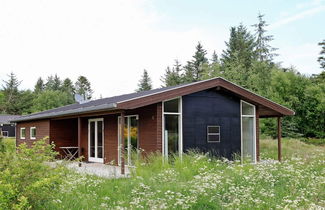 Photo 1 - 8 Person Holiday Home in Fjerritslev