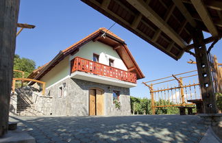 Photo 1 - Vineyard cottage Luštek