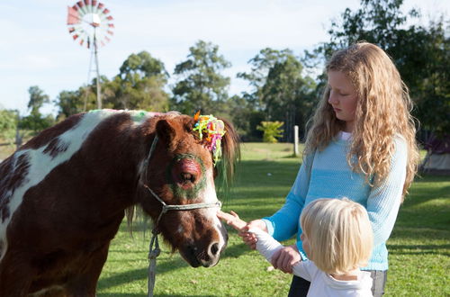 Photo 10 - Kings Creek Retreat