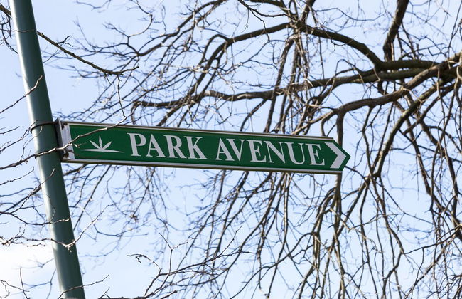 Park Avenue - Forest Hill - Foto 22