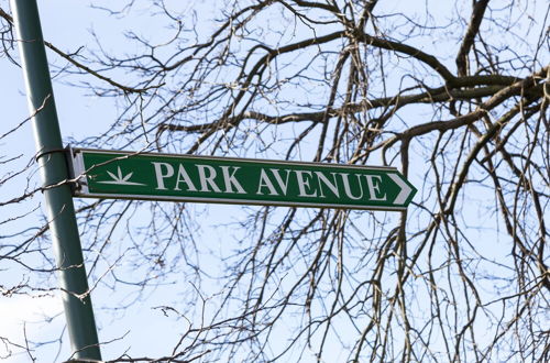 Photo 22 - Park Avenue - Forest Hill