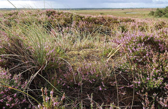 Cozy Apartment in Vejers Strand near Sea - Foto 8