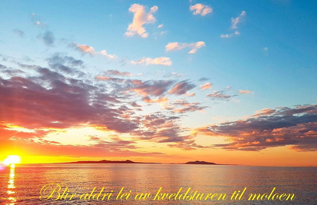 Holiday Home in Brattvåg - Foto 29