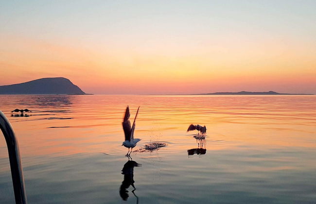 Holiday Home in Brattvåg - Foto 49