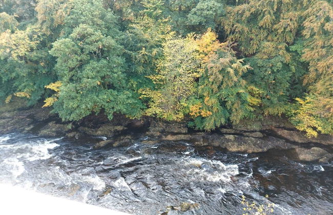 Lovely Riverside Perthshire Flat - Sleeps 8 - Foto 27