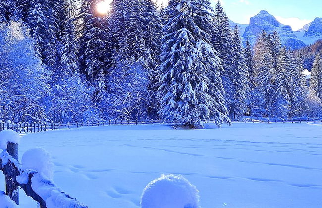 Apartment on the ski Slopes at Plan de Corones - Foto 23