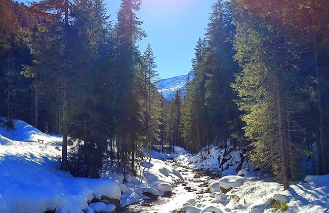 Apartment on the ski Slopes at Plan de Corones - Foto 26