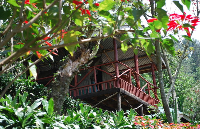 Crater Bay Cottages - Foto 67