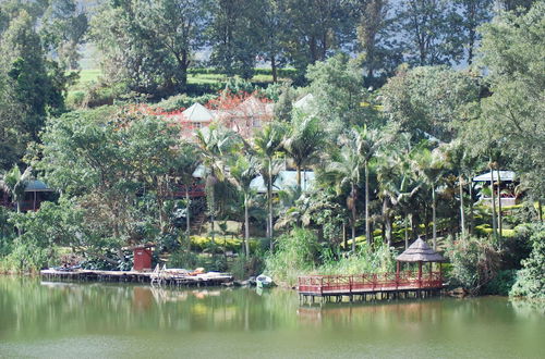 Photo 76 - Crater Bay Cottages