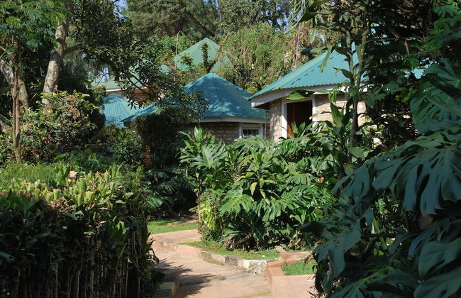 Crater Bay Cottages - Foto 58