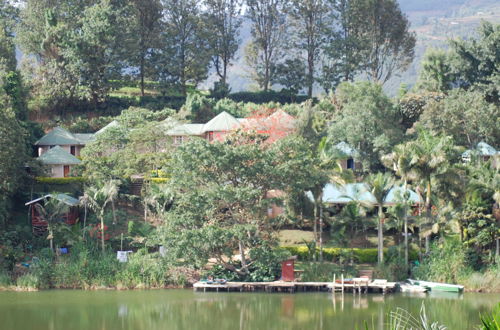 Photo 80 - Crater Bay Cottages