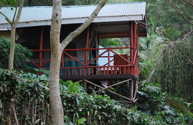 Crater Bay Cottages - Foto 19