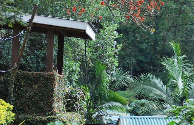 Crater Bay Cottages - Foto 50