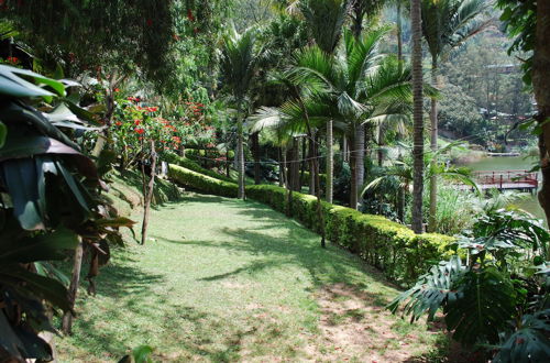 Photo 72 - Crater Bay Cottages