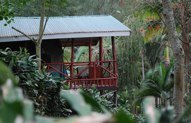 Crater Bay Cottages - Foto 12