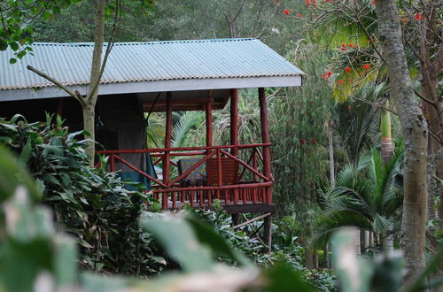 Photo 12 - Crater Bay Cottages