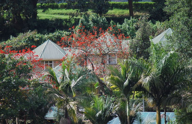 Crater Bay Cottages - Foto 64