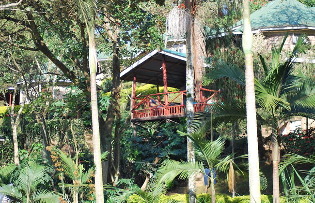 Crater Bay Cottages - Foto 54