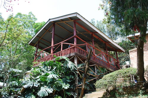 Photo 68 - Crater Bay Cottages