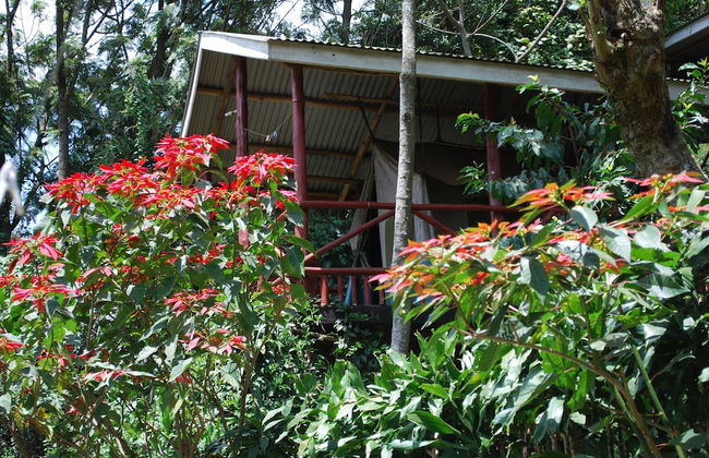 Crater Bay Cottages - Foto 66