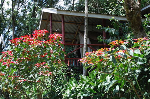 Photo 66 - Crater Bay Cottages