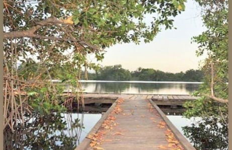 Shores Plantation - Photo 38