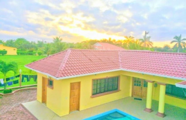 Shores Plantation - Photo 21