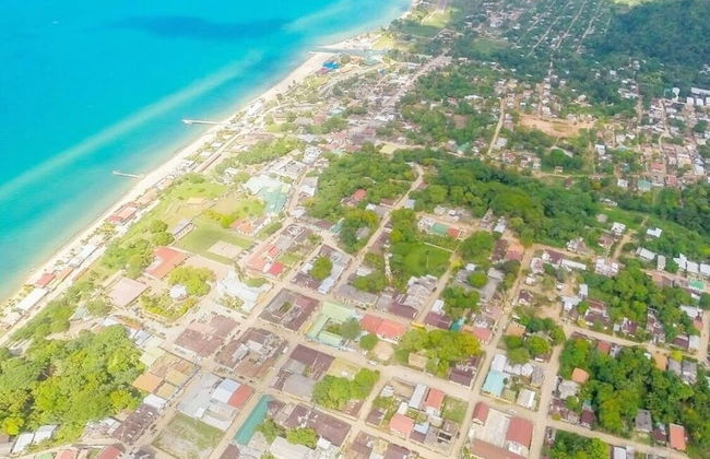 Shores Plantation - Photo 37