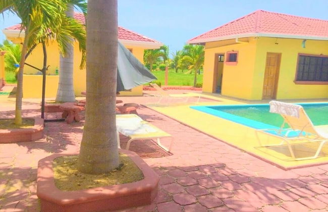 Shores Plantation - Photo 25