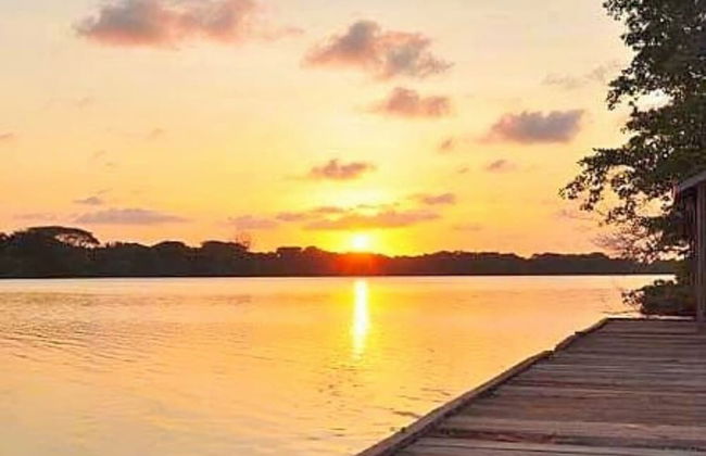 Shores Plantation - Photo 36