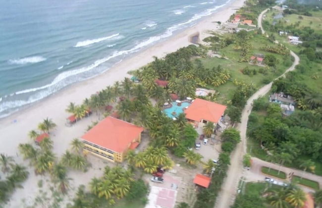 Shores Plantation - Photo 32