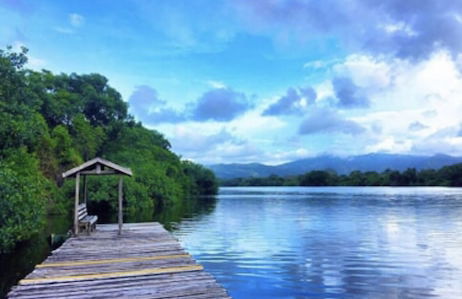 Shores Plantation - Photo 41