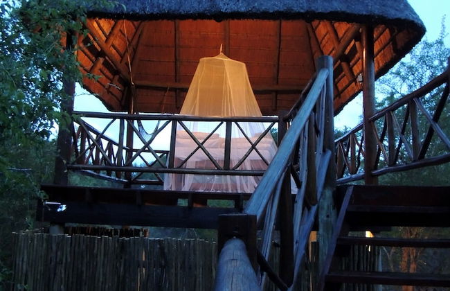 Lion Tree Bush Lodge - Foto 20