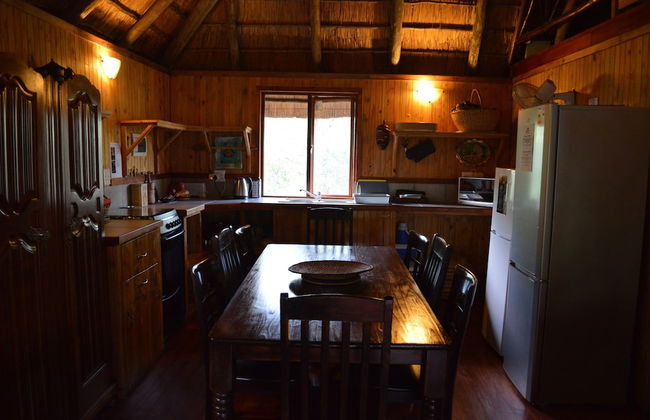 Lion Tree Bush Lodge - Foto 14