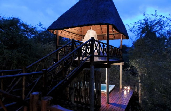 Lion Tree Bush Lodge - Foto 35