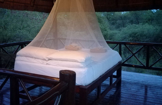 Lion Tree Bush Lodge - Foto 2