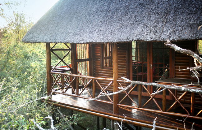 Lion Tree Bush Lodge - Foto 36